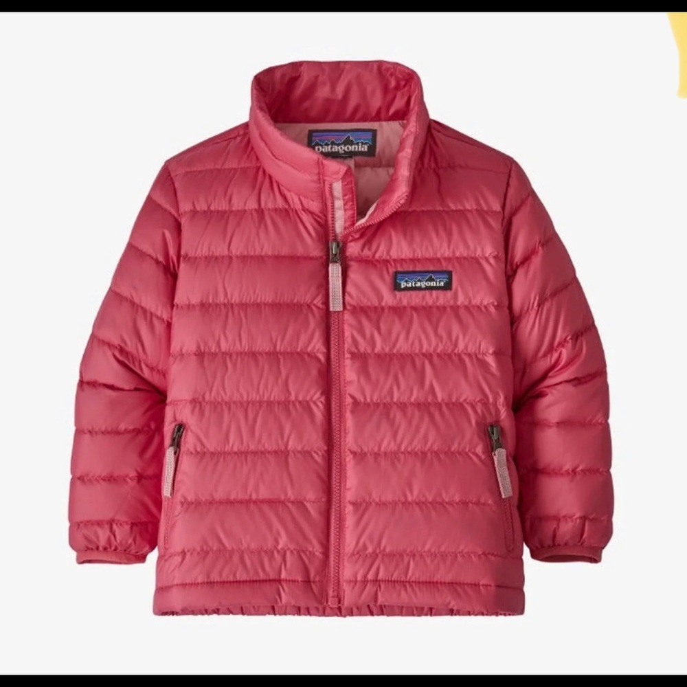 Patagonia toddler down jacket
